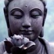 Buddha Buddha