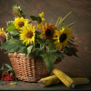 Zátiší se slunečnicemi