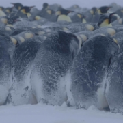 Sedmdesát pod nulou