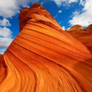 Arizona