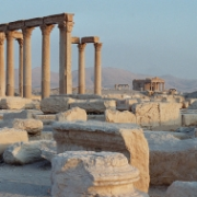 Palmyra