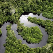 Amazonie