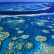 Velký bariérový útes