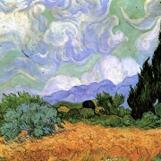 Pšeničné pole s cypřiši