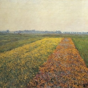 Žluté pole v Gennevilliers