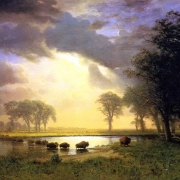 Národní park Buffalo