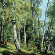 Březový lesík (1896)