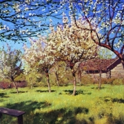 Kvetoucí jabloně (1896)
