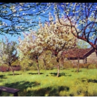 Kvetoucí jabloně (1896)