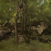 Skály v barbizonském lese
