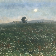 Na louce při měsíčku