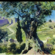 Oliva v getsemanské zahradě