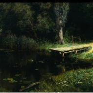 Zarostlý rybník (1879)