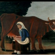 Žena dojící krávu