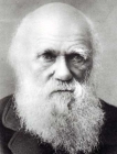 Charles Darwin 