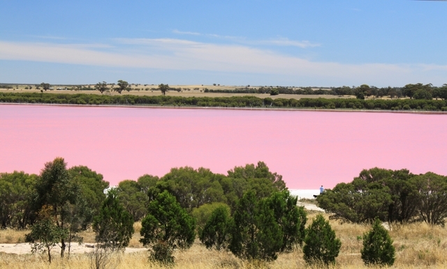 Růžové jezero, Austrálie