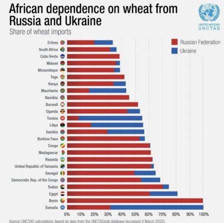 Zavislost Afriky na ruskem a ukrajinskem obili